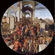 Sandro Botticelli The Adoration of the Kings oil